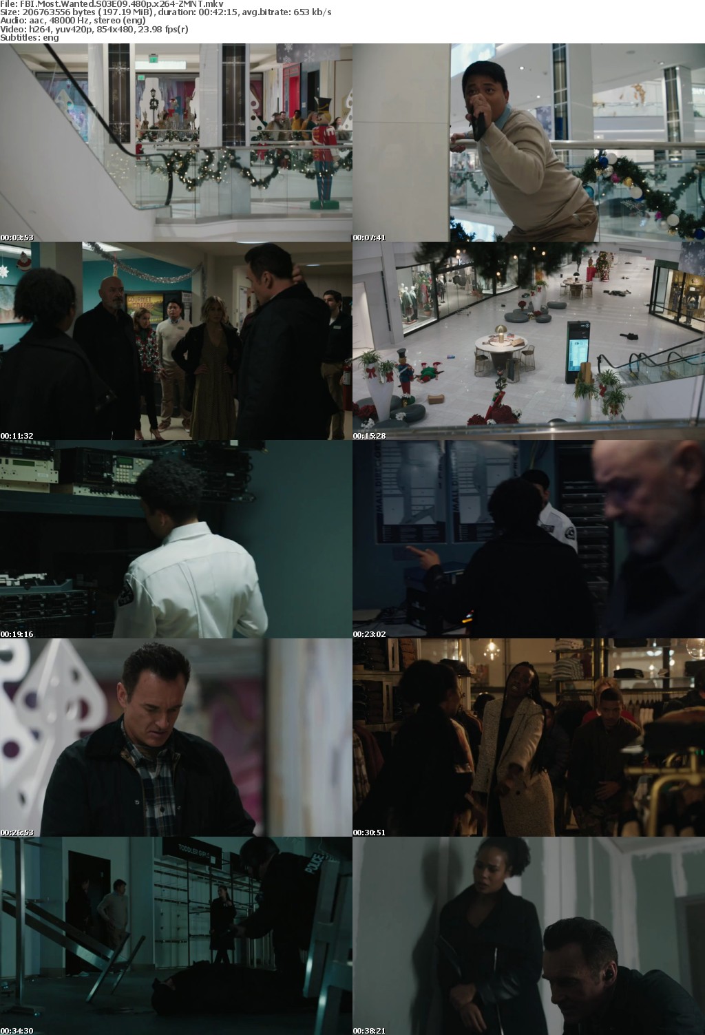 FBI Most Wanted S03E09 480p x264-ZMNT