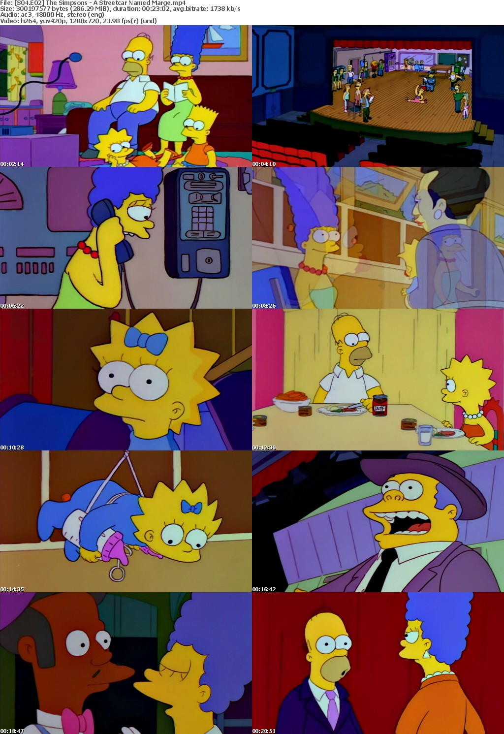 The Simpsons S4 E2 A Streetcar Named Marge MP4 720p H264 WEBRip EzzRips
