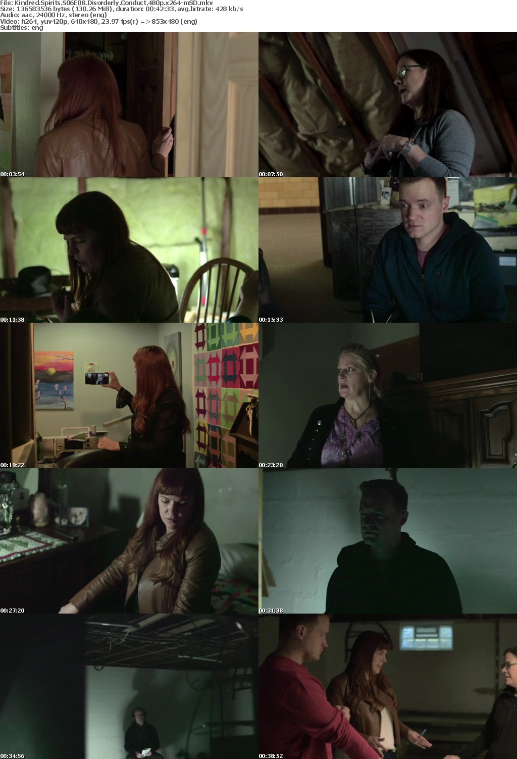Kindred Spirits S06E08 Disorderly Conduct 480p x264-mSD