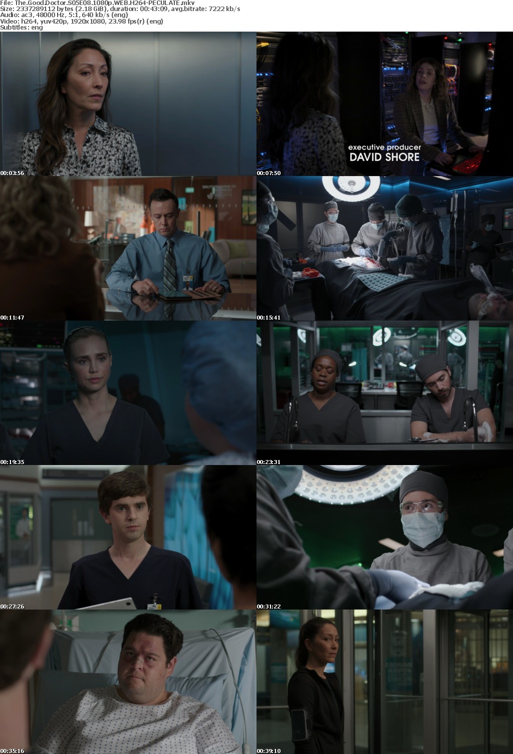 The Good Doctor S05E08 1080p WEB H264-PECULATE