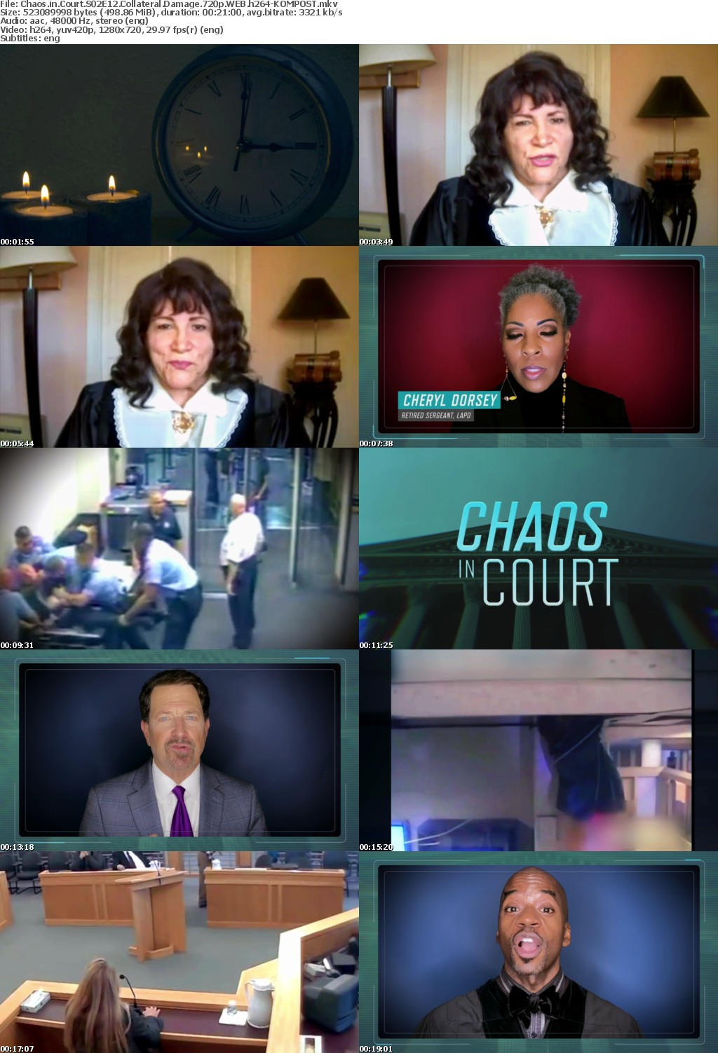 Chaos in Court S02E12 Collateral Damage 720p WEB h264-KOMPOST