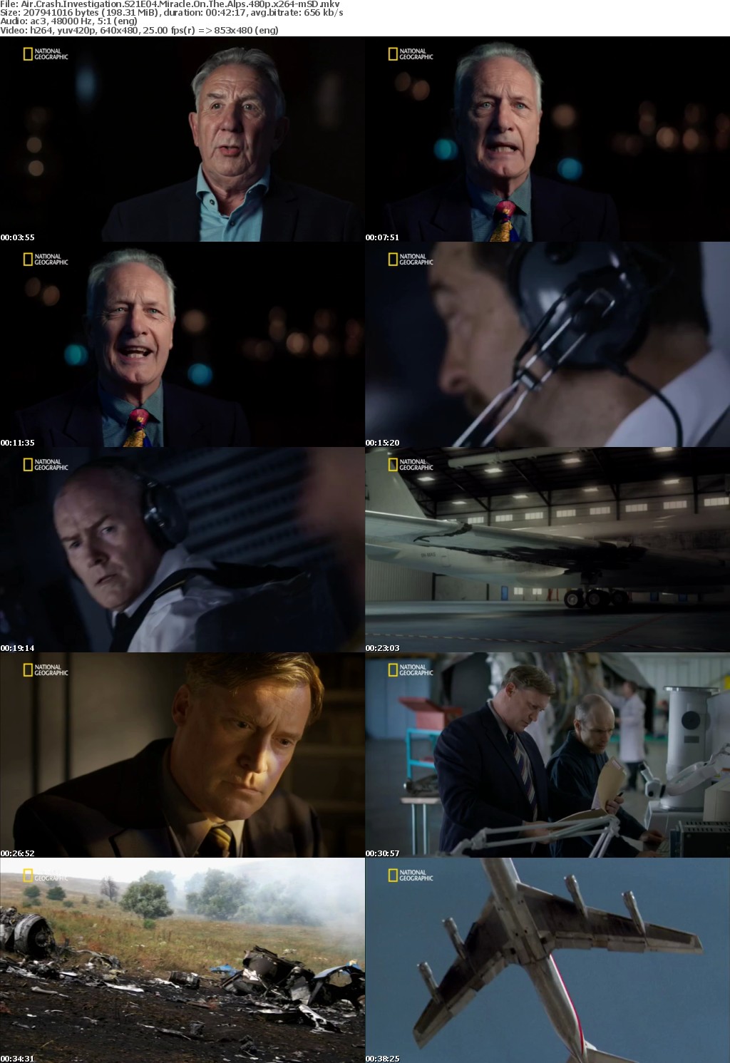 Air Crash Investigation S21E04 Miracle On The Alps 480p x264-mSD
