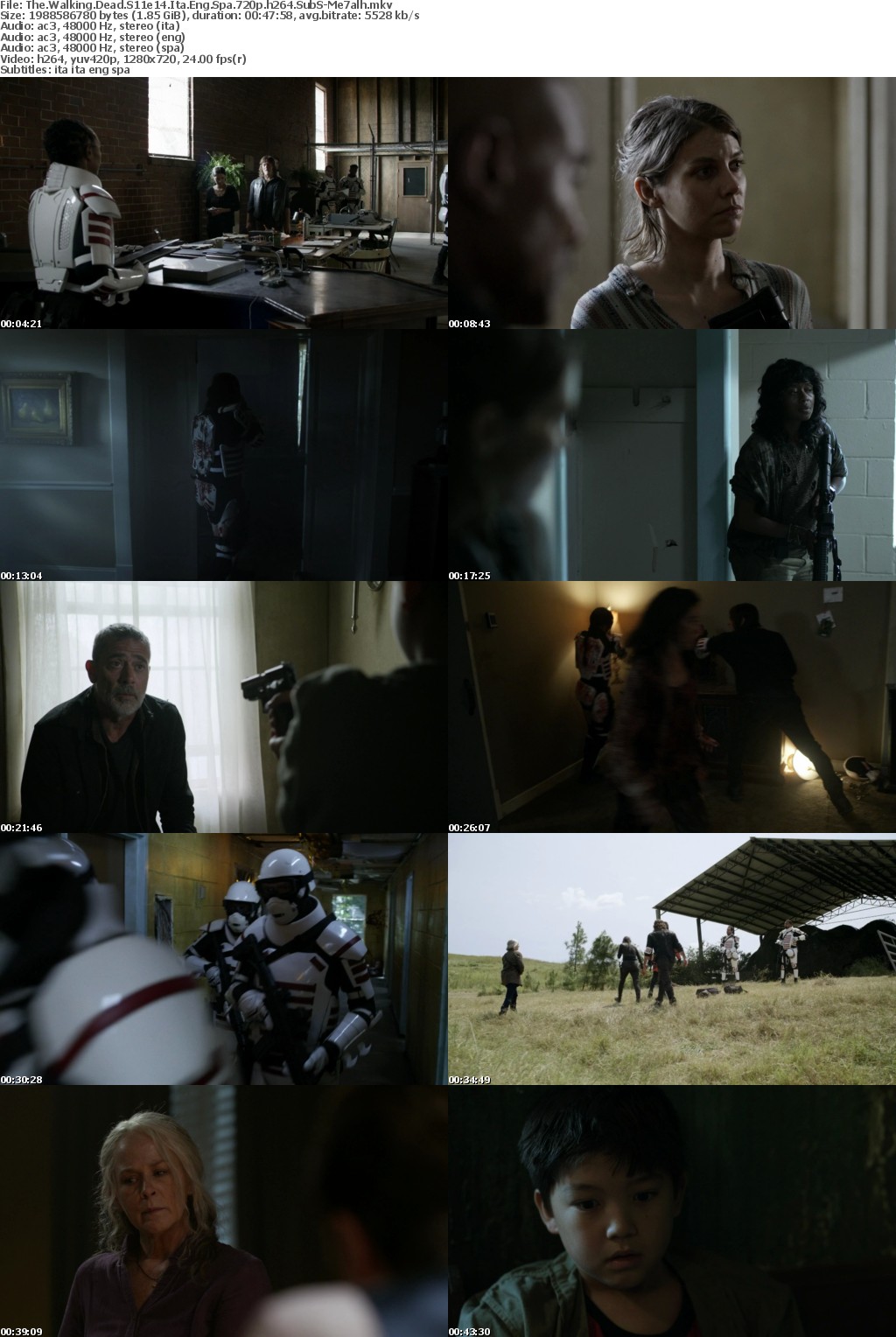 The Walking Dead S11e14 720p Ita Eng Spa SubS MirCrewRelease byMe7alh