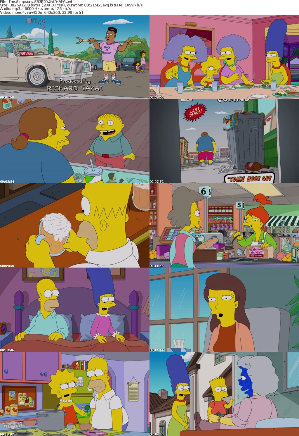 The Simpsons S33E20 XviD-AFG