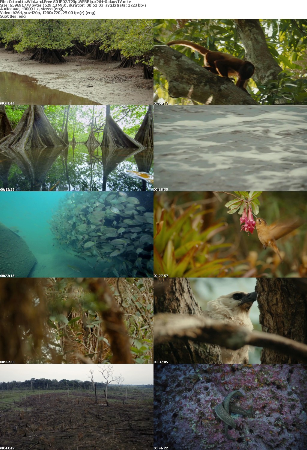Colombia Wild and Free S01 COMPLETE 720p WEBRip x264-GalaxyTV