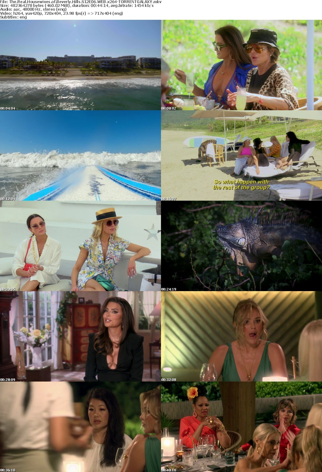 The Real Housewives of Beverly Hills S12E06 WEB x264-GALAXY