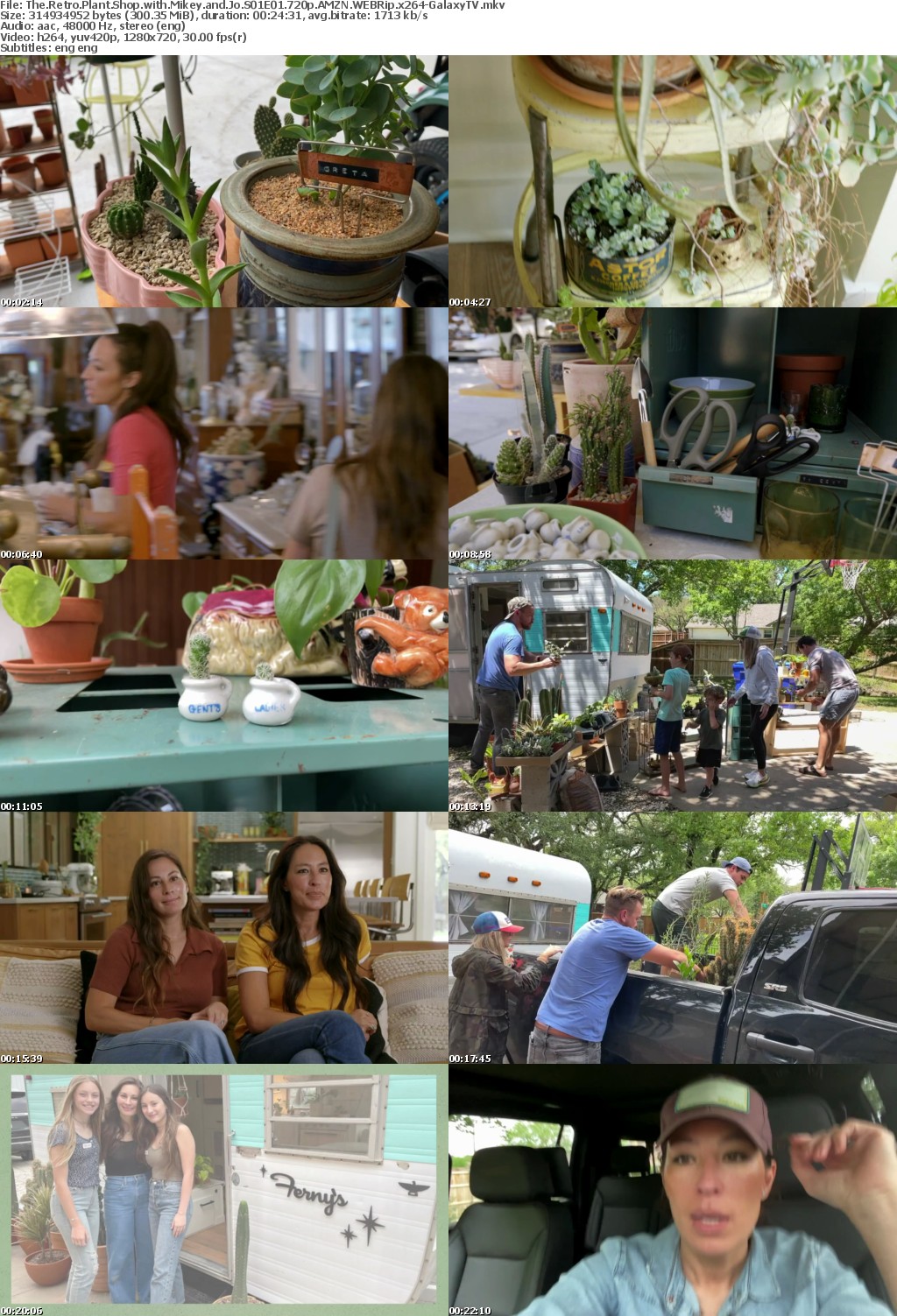 The Retro Plant Shop with Mikey and Jo S01 COMPLETE 720p AMZN WEBRip x264-GalaxyTV