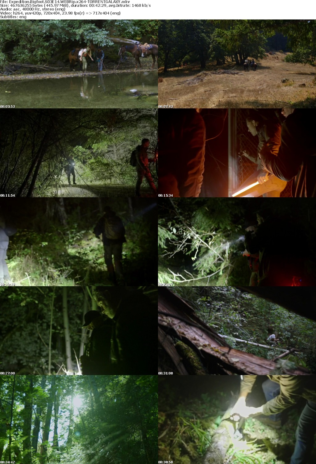 Expedition Bigfoot S03E14 WEBRip x264-GALAXY