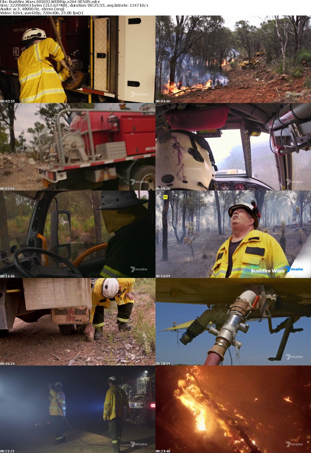 Bushfire Wars S01E02 WEBRip x264-XEN0N