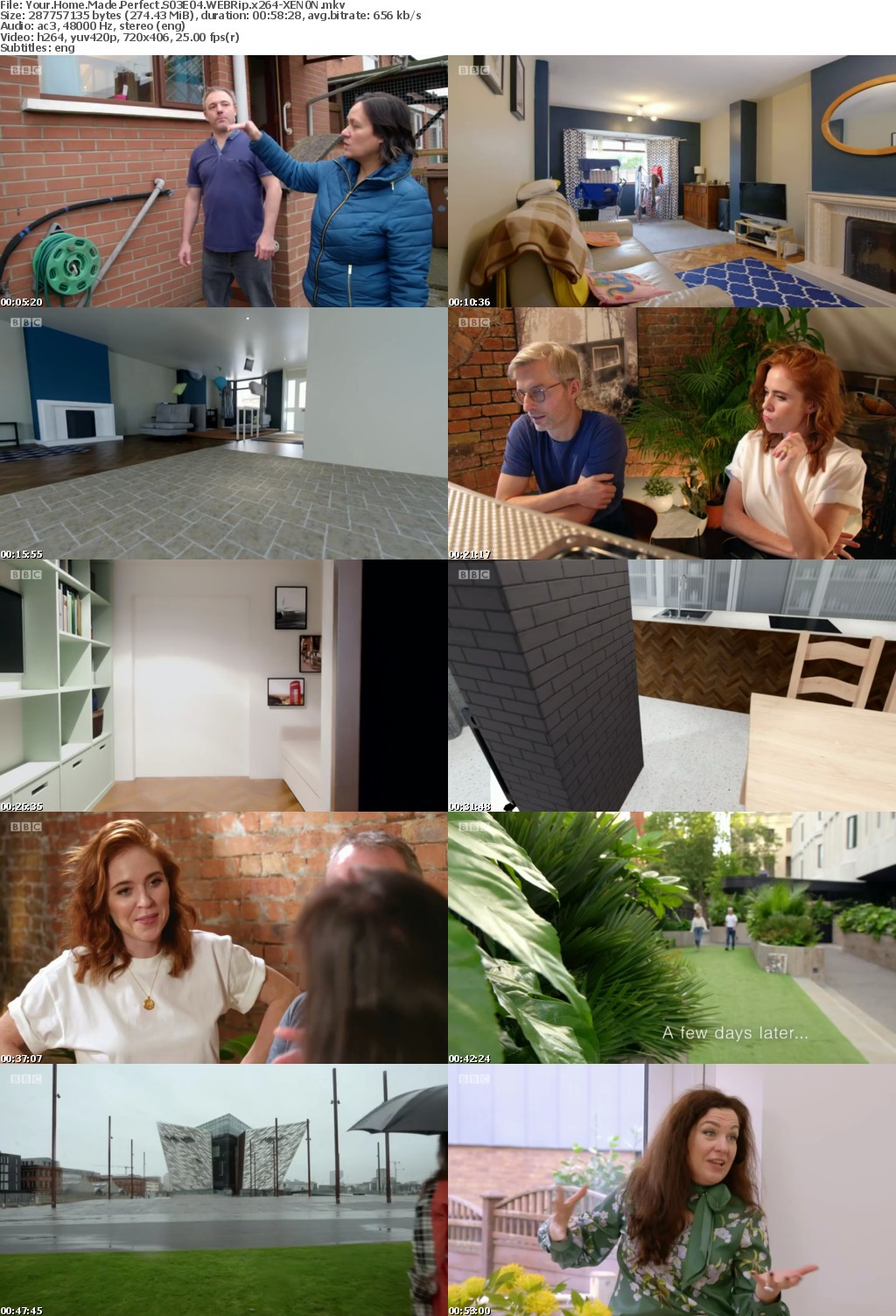 Your Home Made Perfect S03E04 WEBRip x264-XEN0N