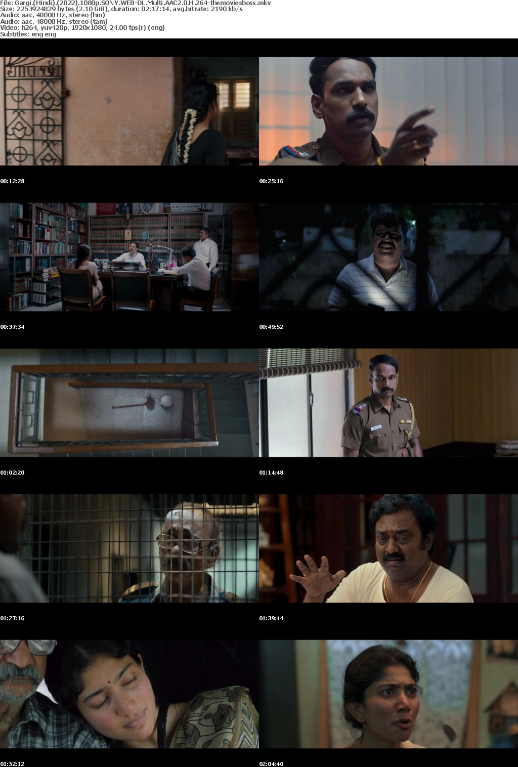 Gargi (Hindi) (2022) 1080p SONY WEB-DL Multi AAC2 0 H 264-themoviesboss