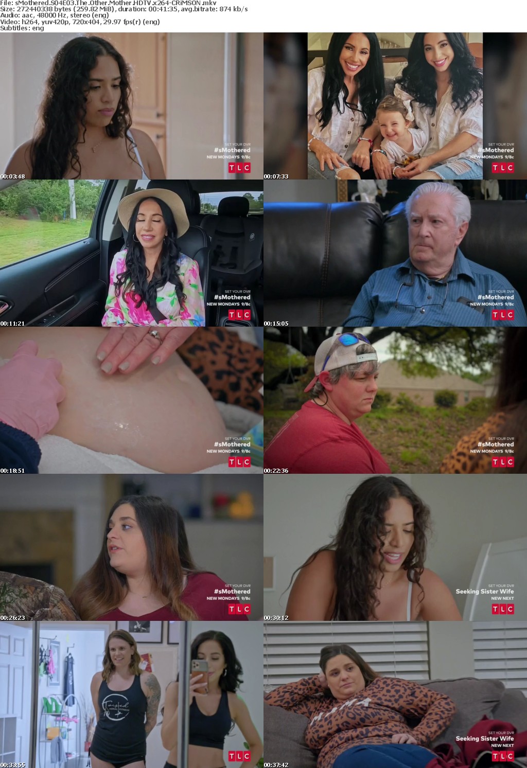 sMothered S04E03 The Other Mother HDTV x264-CRiMSON