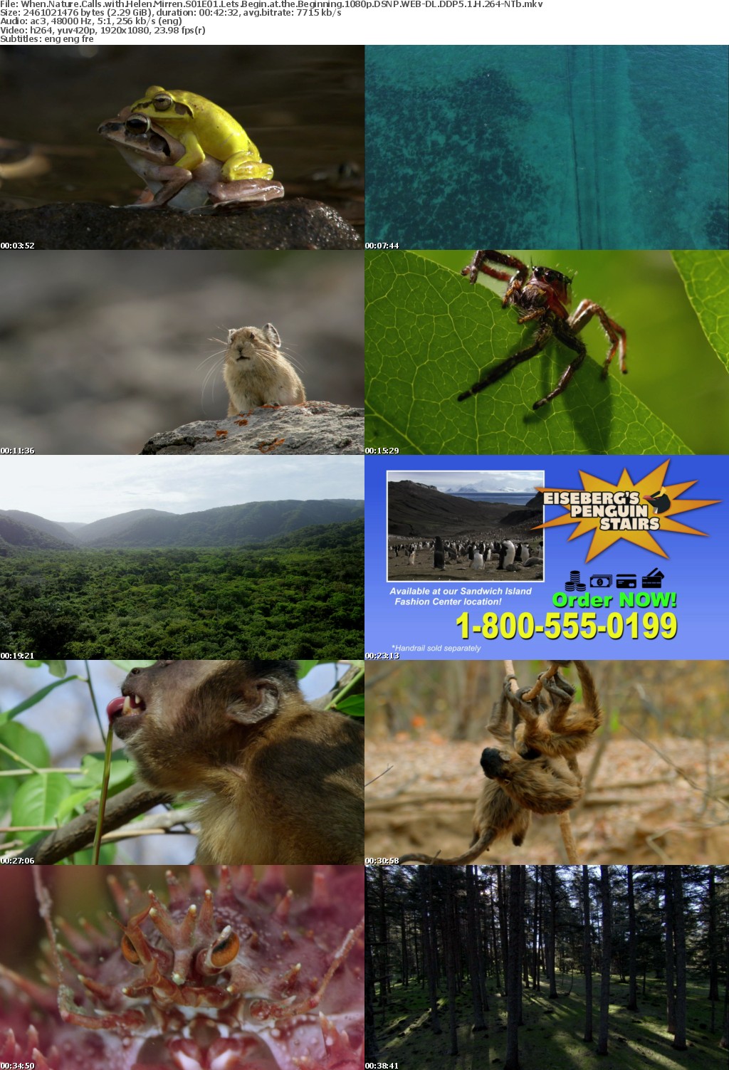 When Nature Calls with Helen Mirren S01E01 1080p DSNP WEBRip DDP5 1 x264-NTb