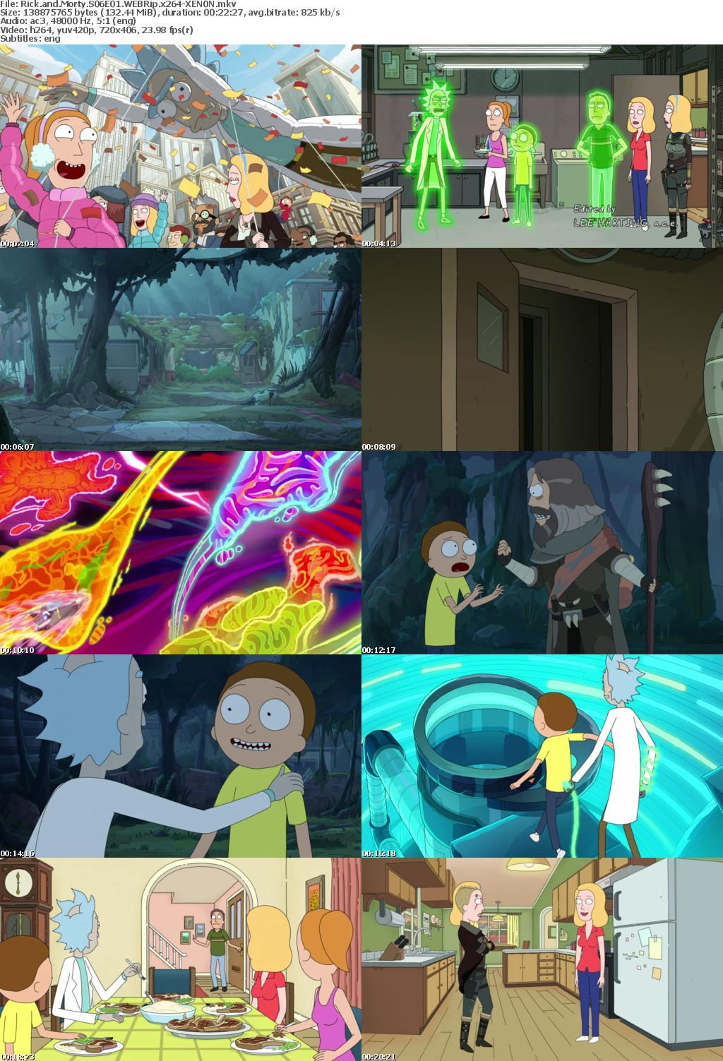 Rick and Morty S06E01 WEBRip x264-XEN0N