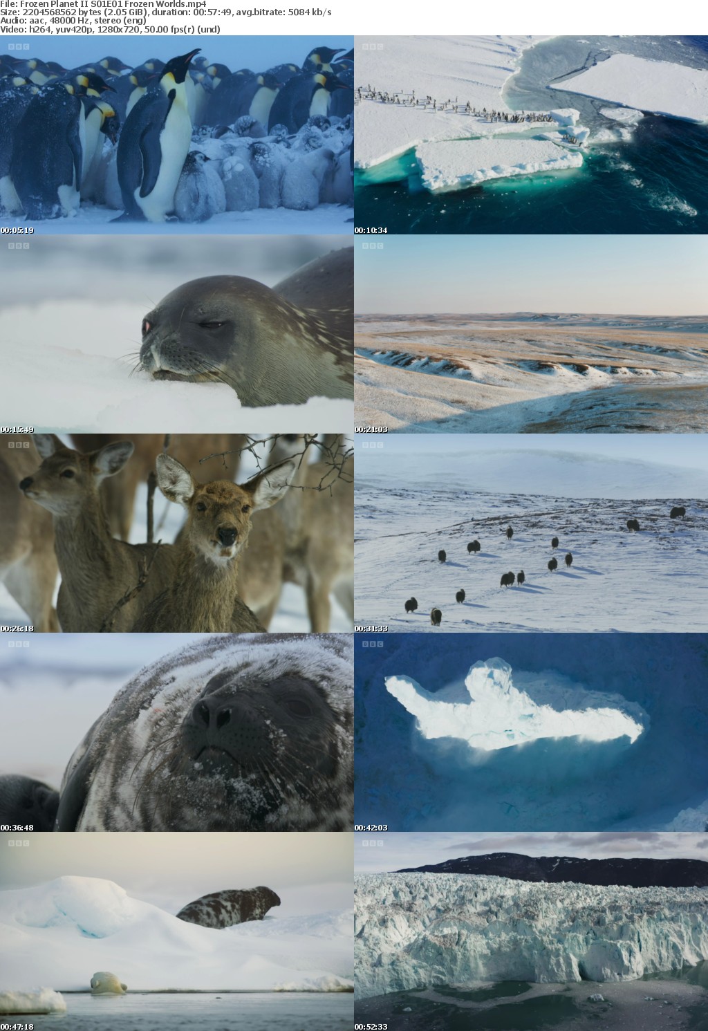 Frozen Planet II S01E01 Frozen Worlds (1280x720p HD, 50fps, soft Eng subs)