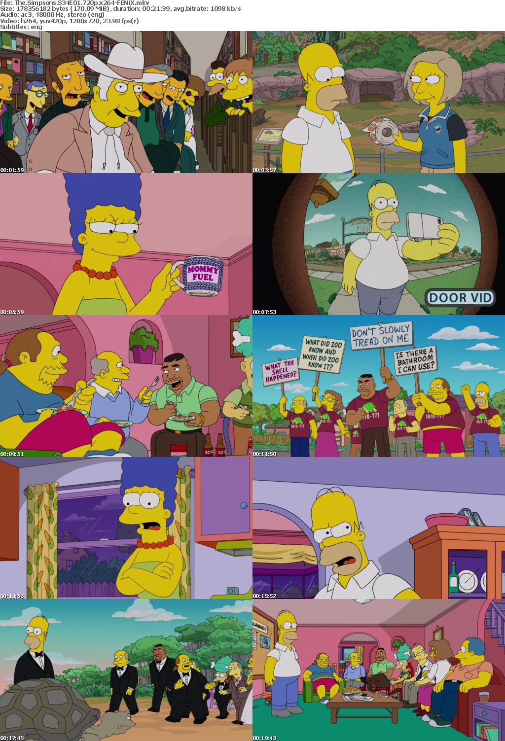 The Simpsons S34E01 720p x264-FENiX