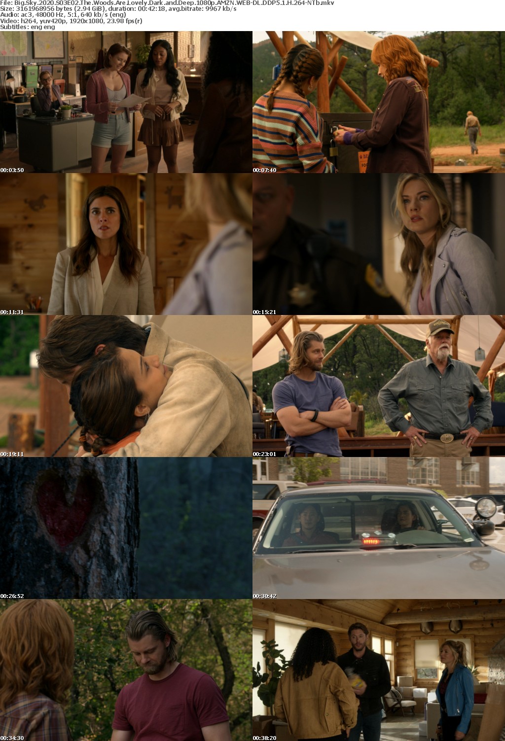 Big Sky 2020 S03E02 The Woods Are Lovely Dark and Deep 1080p AMZN WEBRip DDP5 1 x264-NTb