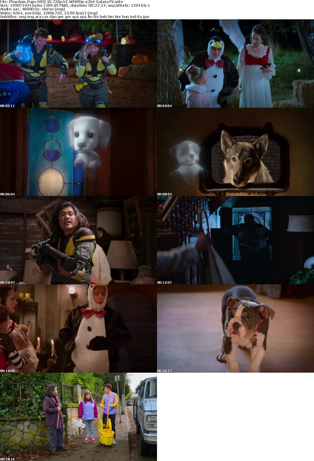 Phantom Pups S01 COMPLETE 720p NF WEBRip x264-GalaxyTV