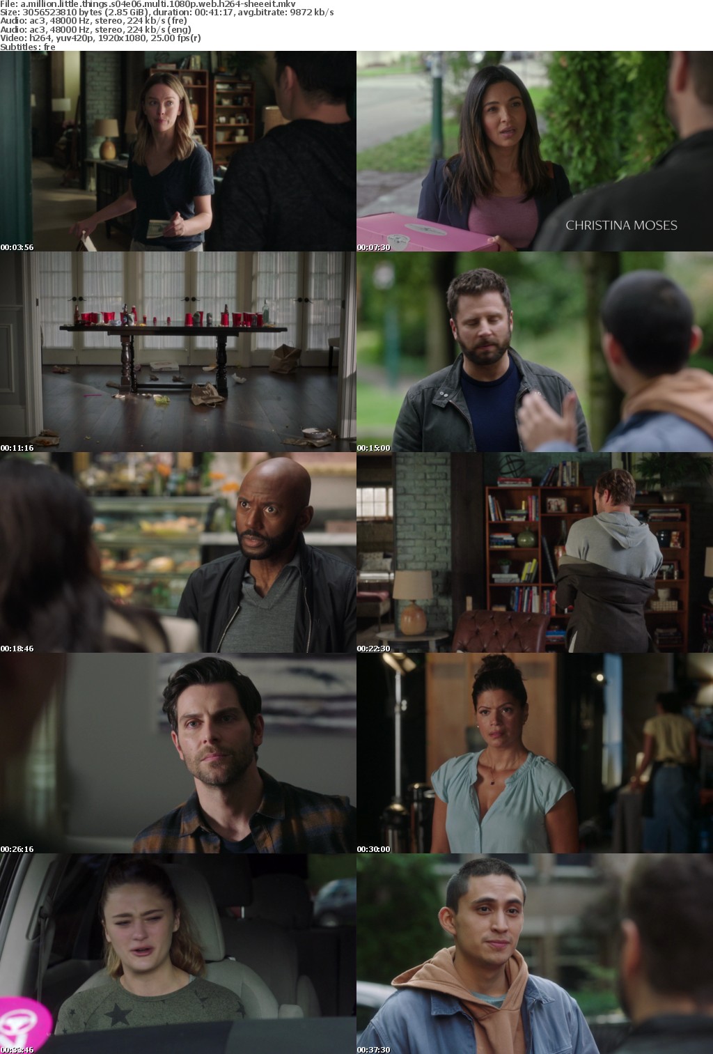 A Million Little Things S04E06 MULTi 1080p WEB H264-SHEEEIT