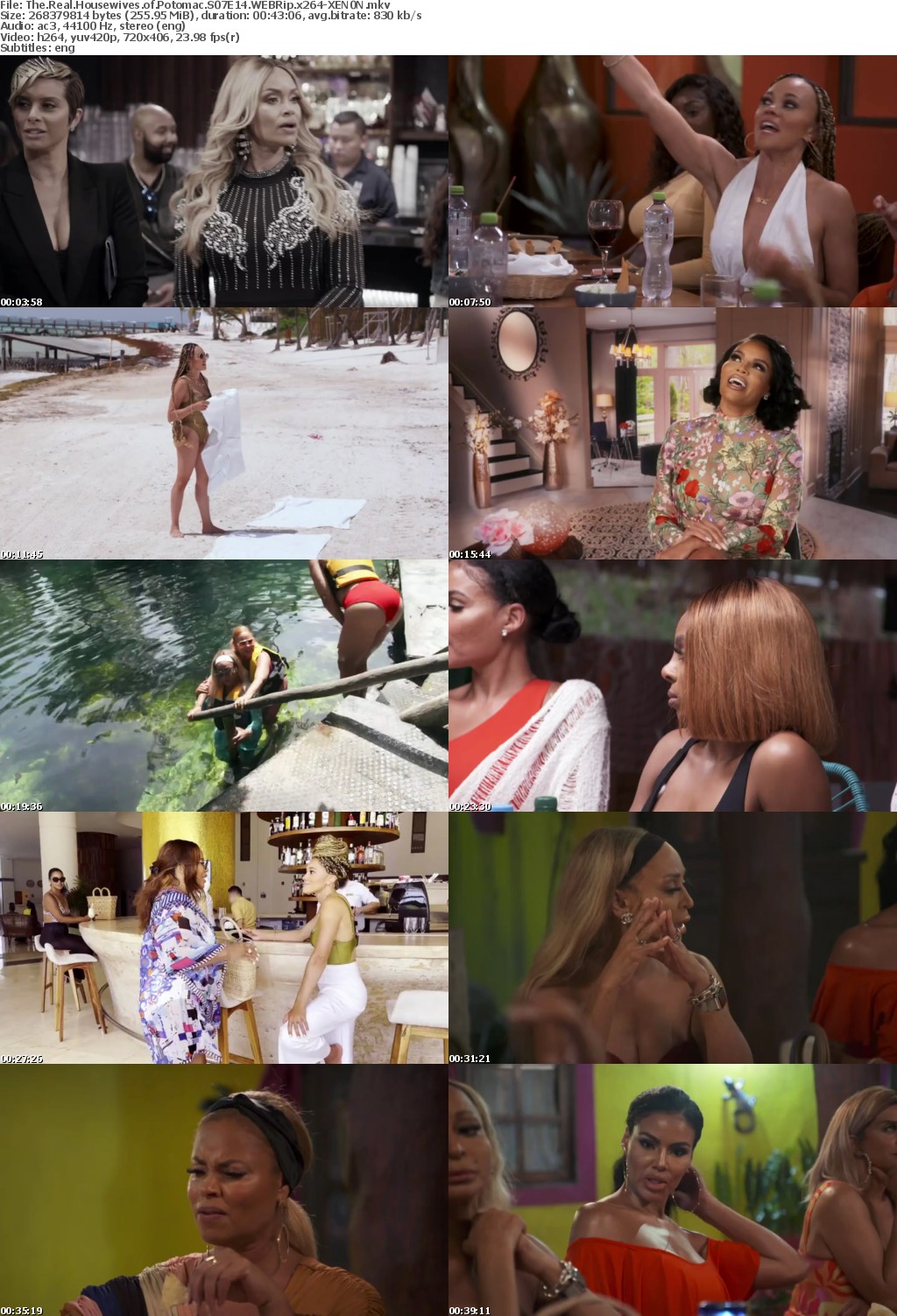 The Real Housewives of Potomac S07E14 WEBRip x264-XEN0N