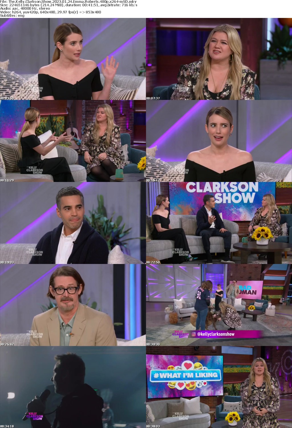 The Kelly Clarkson Show 2023 01 24 Emma Roberts 480p x264-mSD