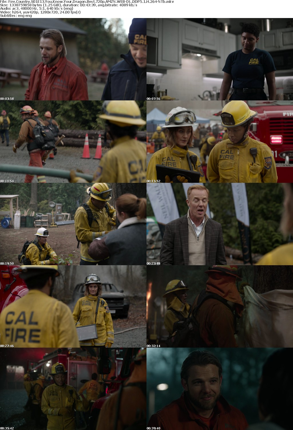 Fire Country S01E13 You Know Your Dragon Best 720p AMZN WEBRip DDP5 1 x264-NTb