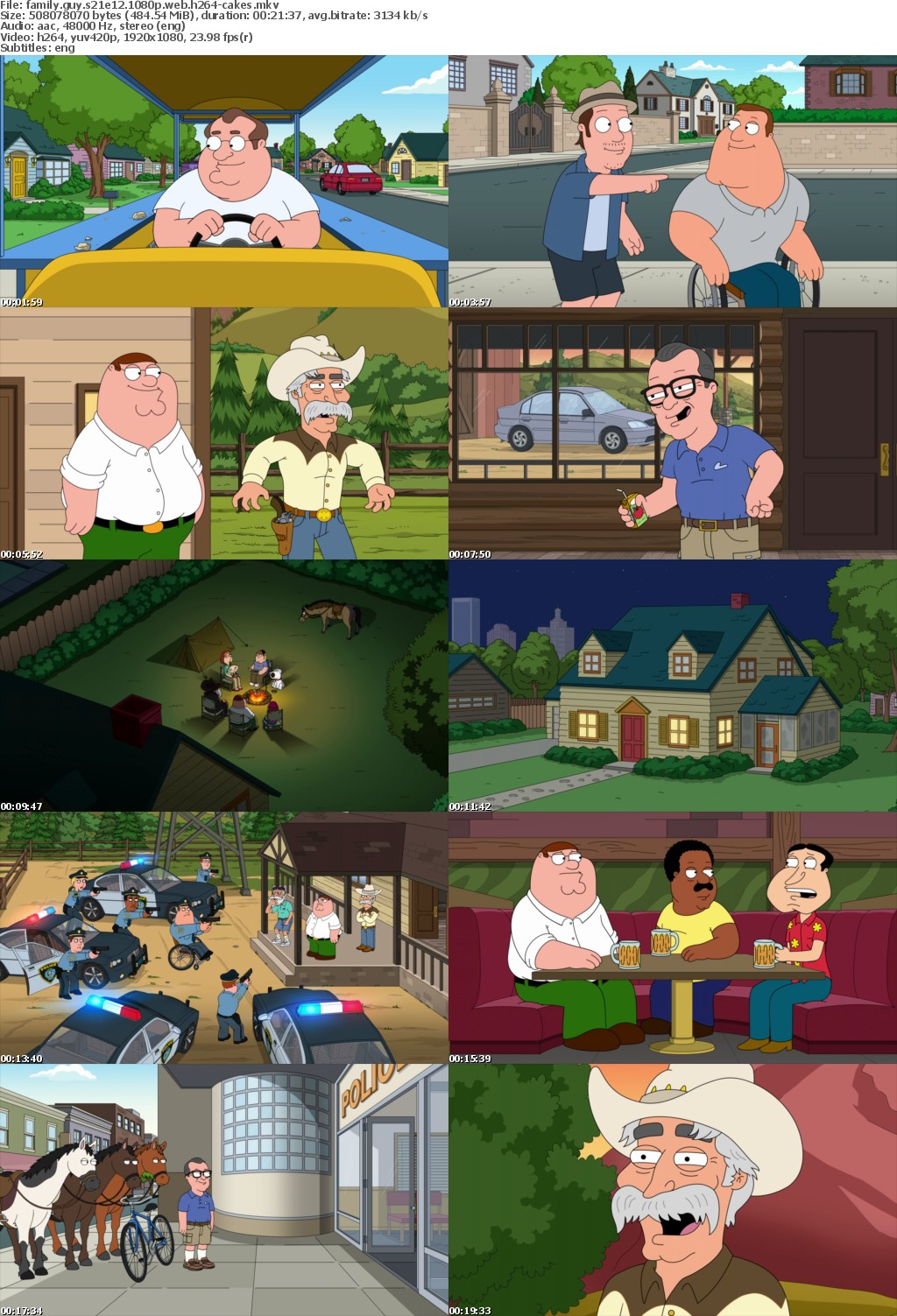 Family Guy S21E12 1080p WEB H264-CAKES