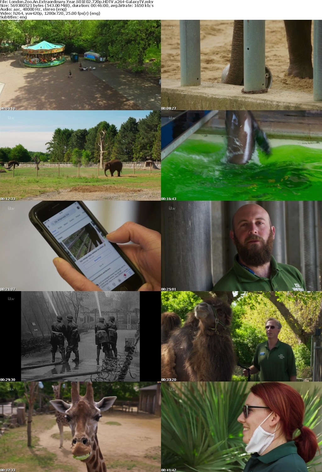 London Zoo An Extraordinary Year S01 COMPLETE 720p HDTV x264-GalaxyTV