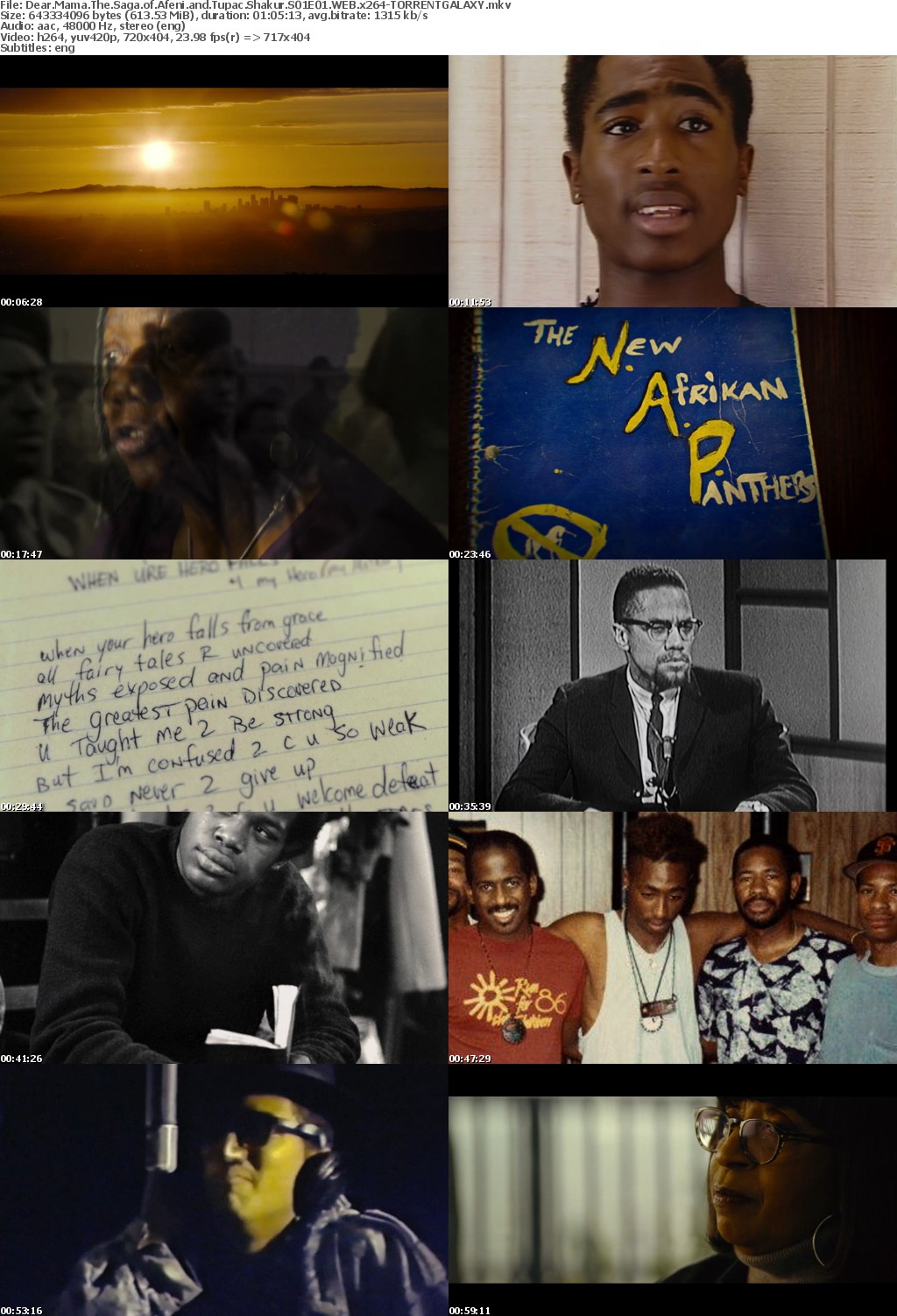 Dear Mama The Saga of Afeni and Tupac Shakur S01E01 WEB x264-GALAXY