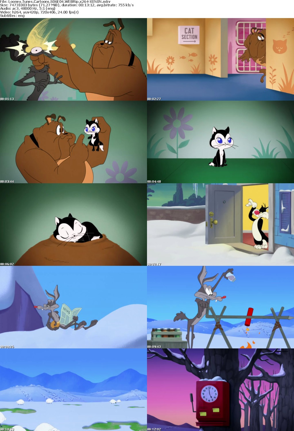 Looney Tunes Cartoons S06E04 WEBRip x264-XEN0N
