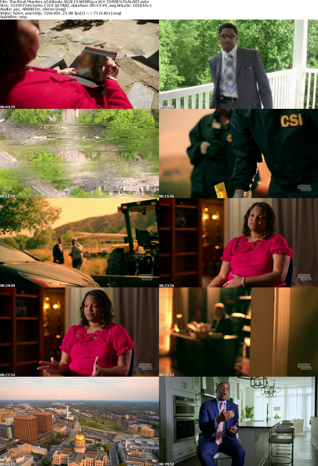 The Real Murders of Atlanta S02E15 WEBRip x264-GALAXY