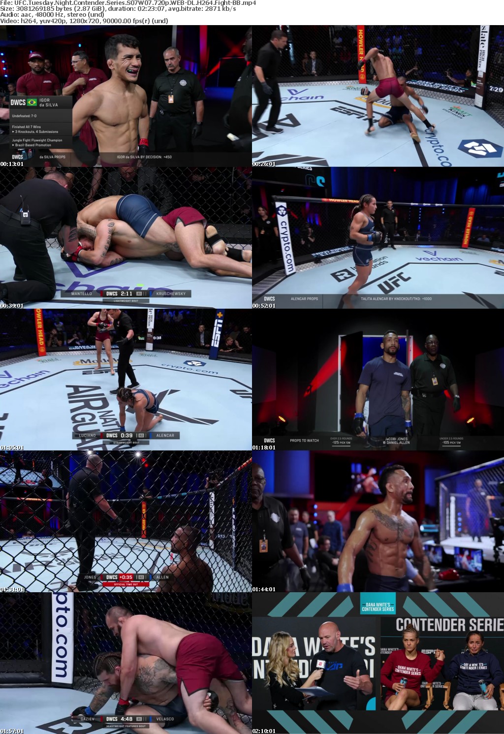 UFC Tuesday Night Contender Series S07W07 720p WEB-DL H264 Fight-BB