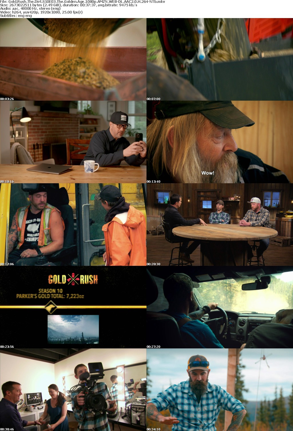 Gold Rush The Dirt S10E03 The Golden Age 1080p AMZN WEB-DL AAC2 0 H 264-NTb