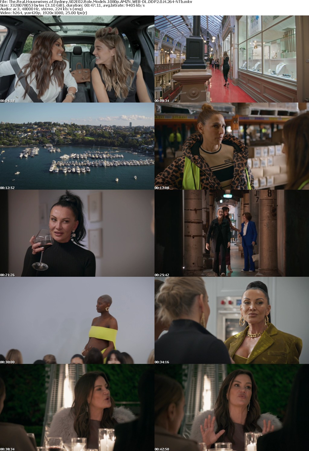 The Real Housewives of Sydney S02E02 Role Models 1080p AMZN WEB-DL DDP2 0 H 264-NTb