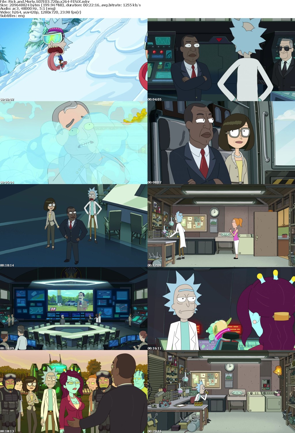 Rick and Morty S07E03 720p x264-FENiX Saturn5