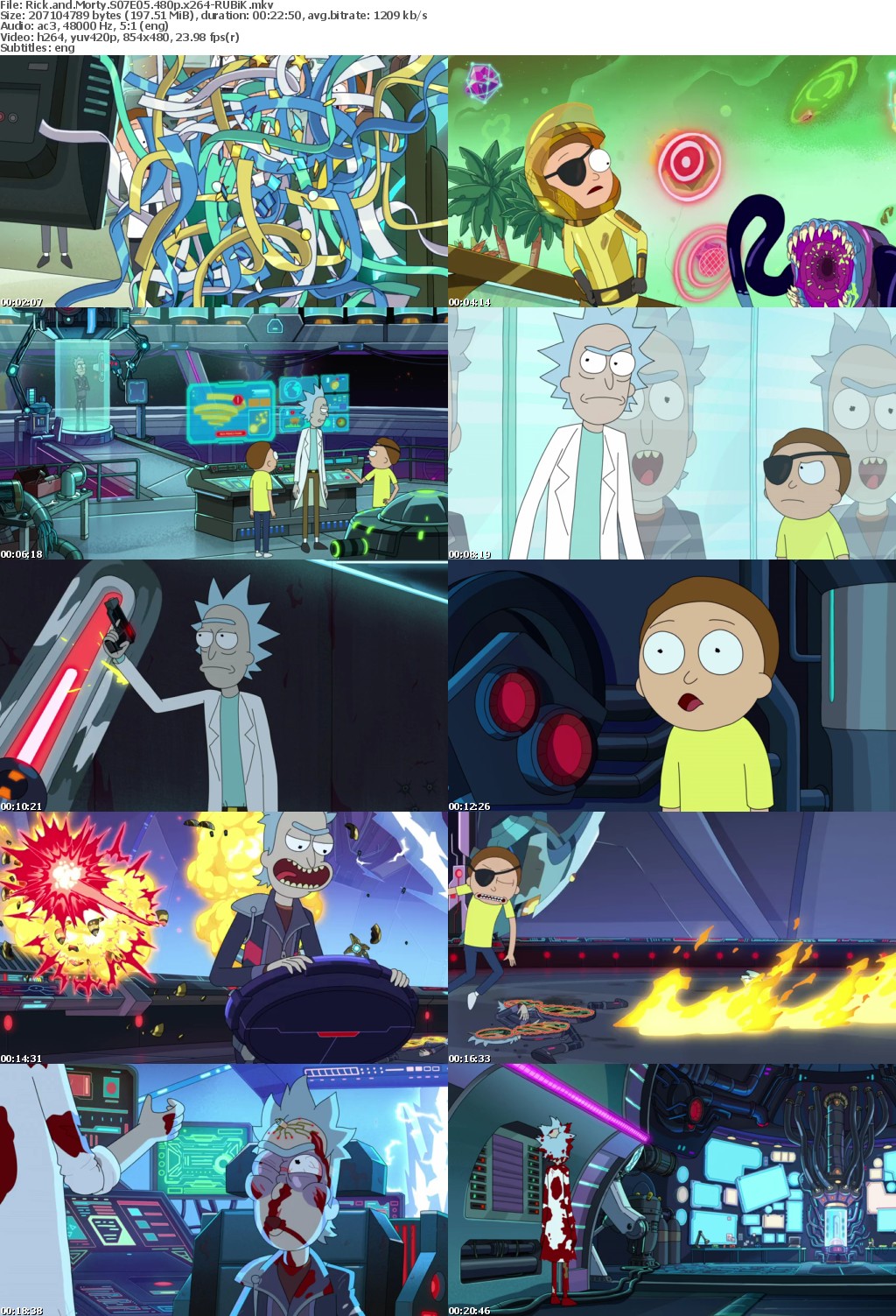 Rick and Morty S07E05 480p x264-RUBiK