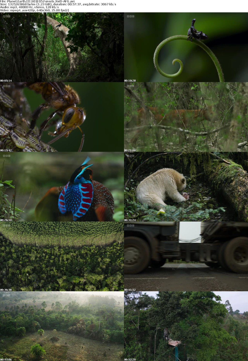 Planet Earth III S01E05 Forests XviD-AFG