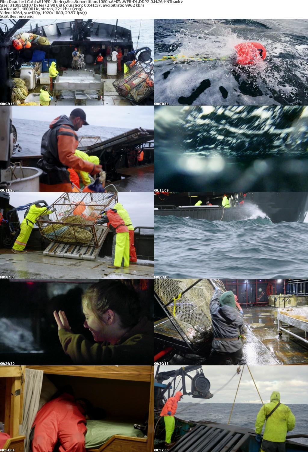 Deadliest Catch S19E04 Bering Sea Superstition 1080p AMZN WEB-DL DDP2 0 H 264-NTb