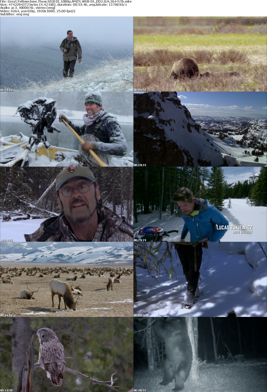 Great Yellowstone Thaw S01E01 1080p AMZN WEB-DL DD2 0 H 264-NTb