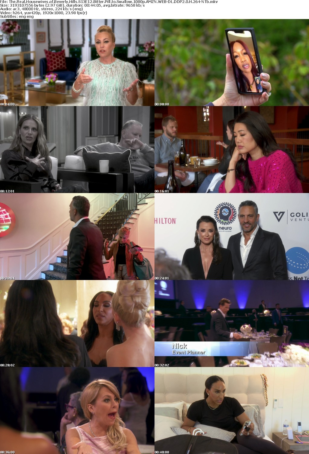 The Real Housewives of Beverly Hills S13E12 Bitter Pill to Swallow 1080p AMZN WEB-DL DDP2 0 H 264-NTb