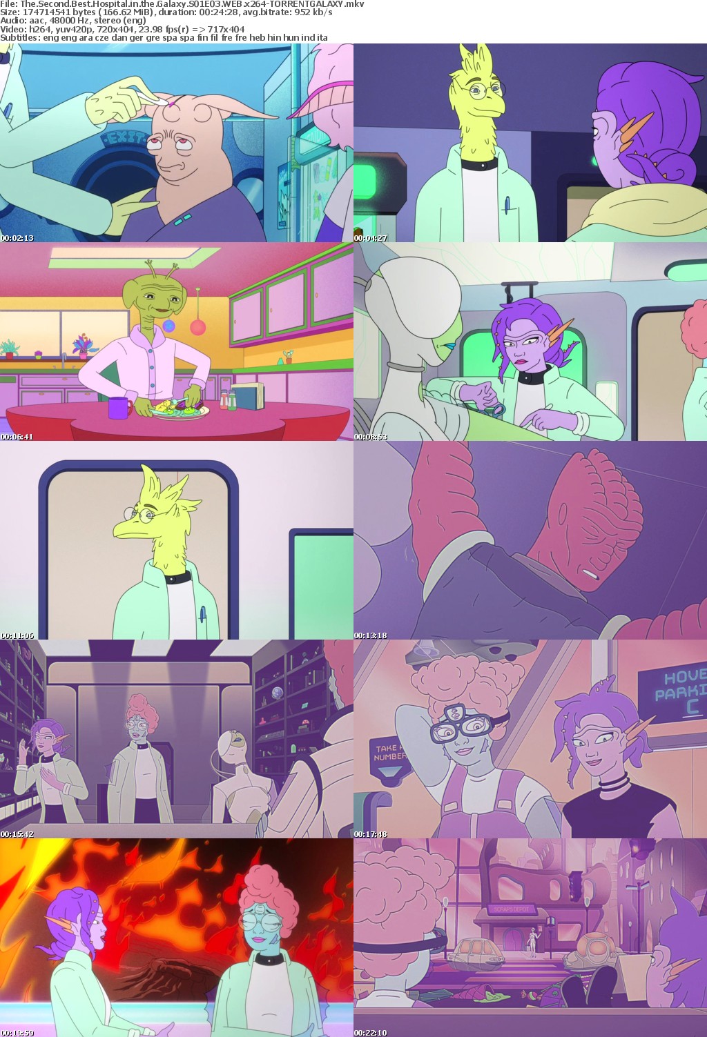 The Second Best Hospital in the Galaxy S01E03 WEB x264-GALAXY