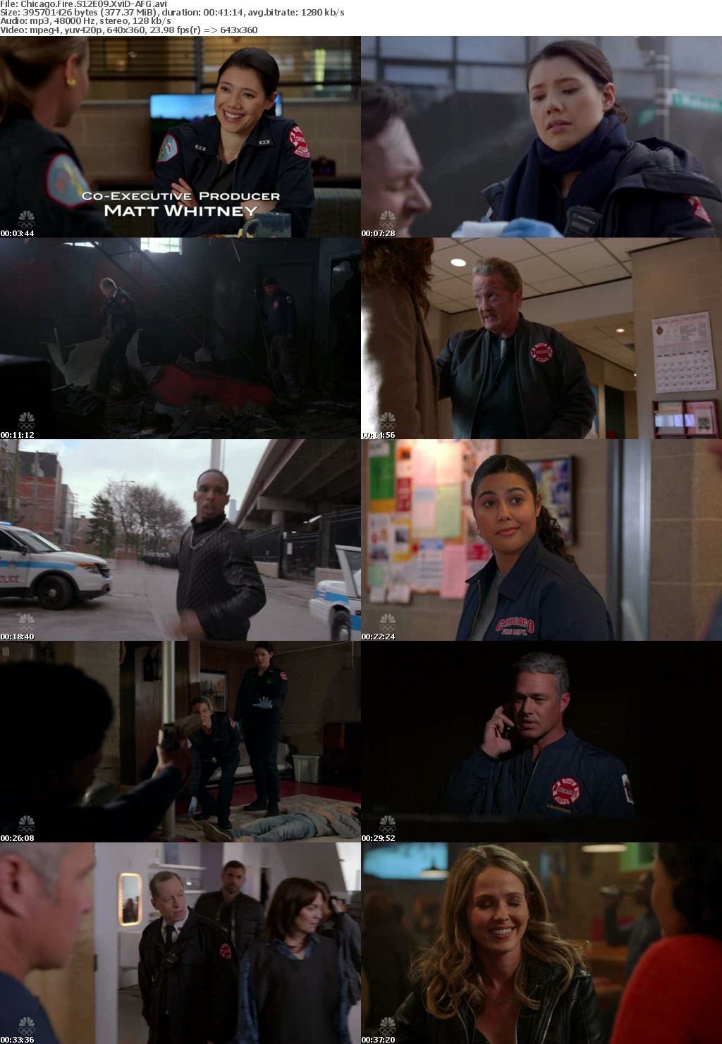 Chicago Fire S12E09 XviD-AFG