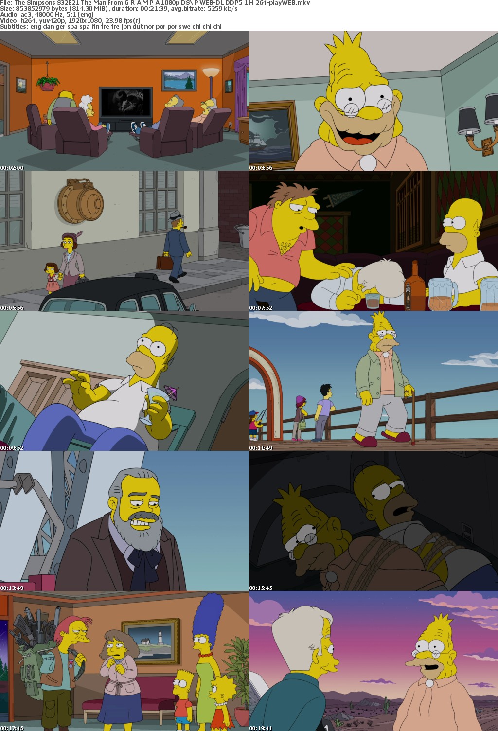 The Simpsons S32E21 The Man From G R A M P A 1080p DSNP WEB-DL DDP5 1 H 264-playWEB