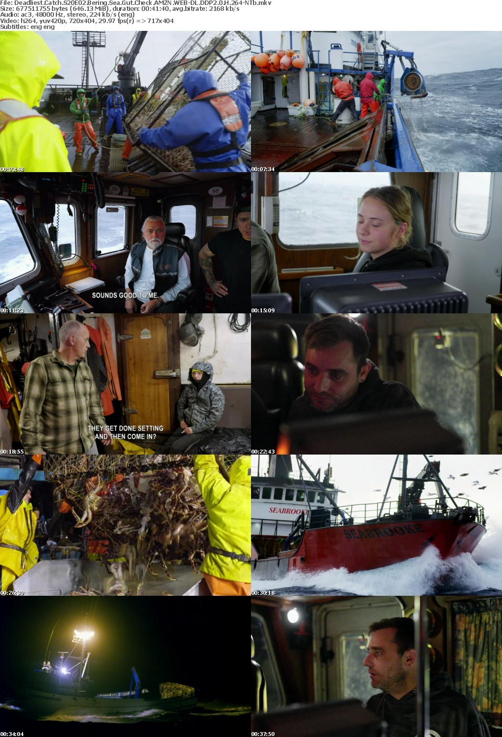 Deadliest Catch S20E02 Bering Sea Gut Check AMZN WEB-DL DDP2 0 H 264-NTb