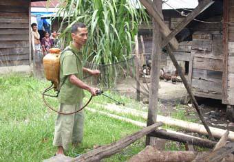 Positif Flu Burung, Puluhan Ayam Mati Mendadak Di Kel. Napa Angkola Selatan 5635530968949377b37112bb81e98cdbfa51e1a Positif Flu Burung, Puluhan Ayam Mati Mendadak Di Kel. Napa Angkola Selatan